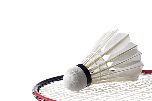 在足球的世 在足球的世